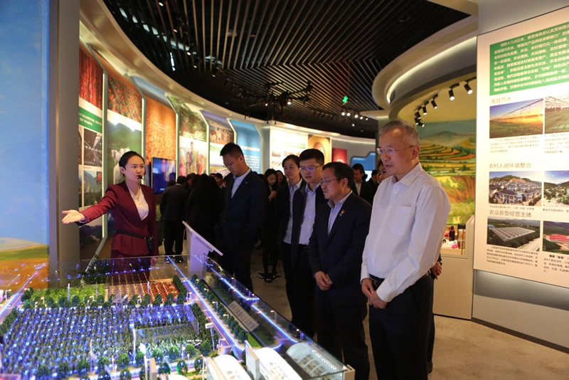 201911041572829097566513.jpg 5.jpg