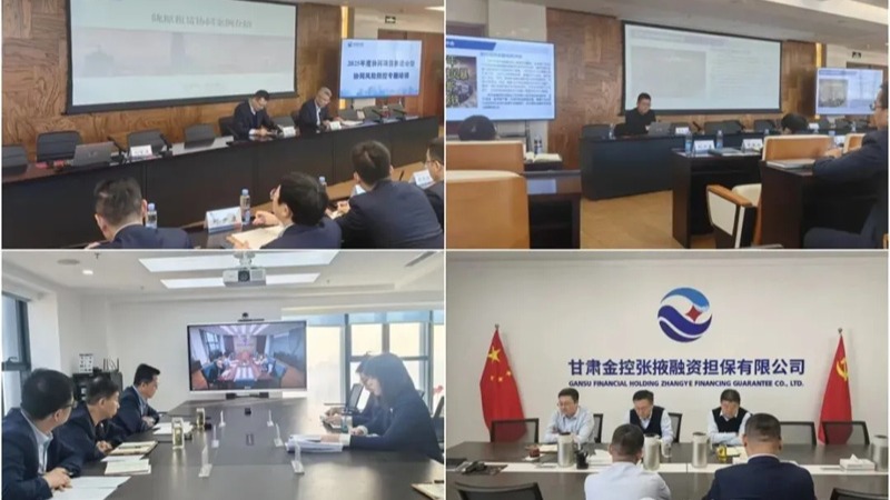 甘肅金控集團(tuán)舉辦2025年度協(xié)同項(xiàng)目推進(jìn)會暨協(xié)同風(fēng)險(xiǎn)防控專題培訓(xùn)